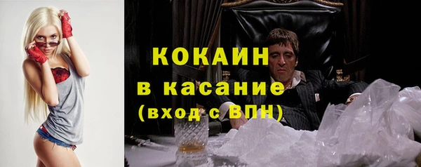 ПСИЛОЦИБИНОВЫЕ ГРИБЫ Арсеньев
