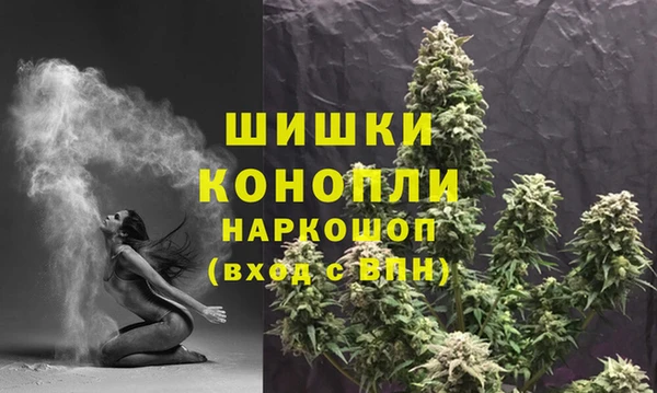 шишки Баксан
