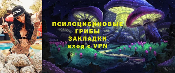 ПСИЛОЦИБИНОВЫЕ ГРИБЫ Арсеньев