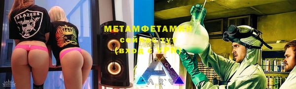 ПСИЛОЦИБИНОВЫЕ ГРИБЫ Арсеньев