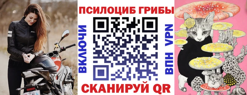 купить цена Новомосковск Псилоцибиновые грибы Psilocybe